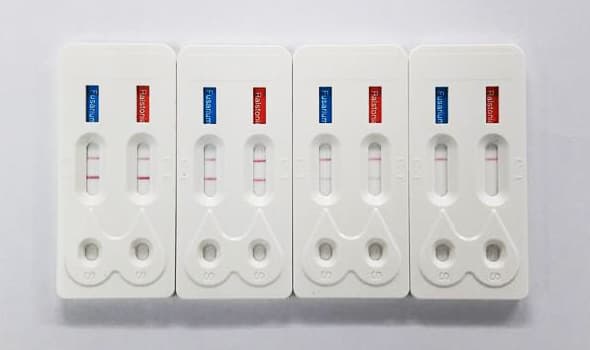 JINDANI plant disease and insect rapid test kit components