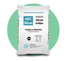 ABC Silicate 제품
