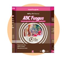ABC Fungus 제품